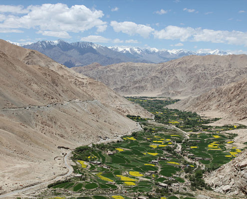 Viaggio Ladakh