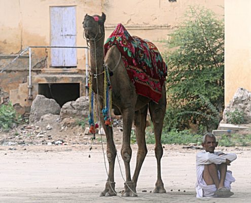 Viaggio breve Agra Rajasthan