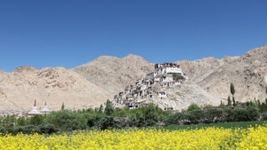 Viaggio Ladakh