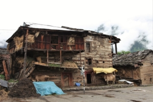 Viaggio Amritsar Dharamsala Manali