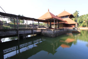 viaggio in Kerala