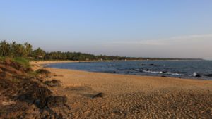 viaggio in Kerala