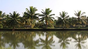 viaggio in Kerala