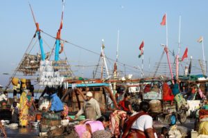 Gujarat tra deserto pastori nomadi Gandhi