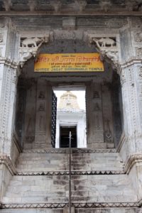 viaggio ad Udaipur la città bianca