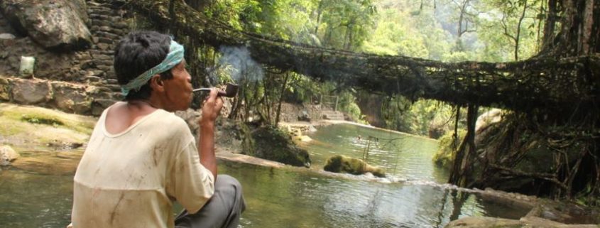 straordinari ponti naturali di radici di Cherrapunjee