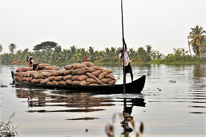 backwaters del Kerala