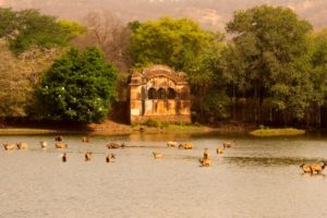 Viaggio Rajasthan e Ranthambore