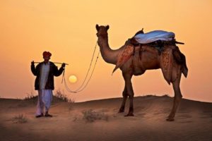 Viaggio breve Agra Rajasthan