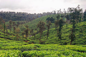 Karnataka e i suoi tesori nascosti