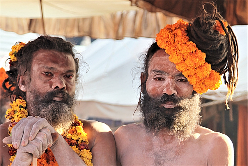 Kumbh Mela il raduno della brocca