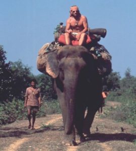 Viaggio in India in groppa al mio elefante