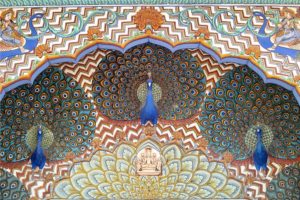 pavone uccello nazionale dell’India