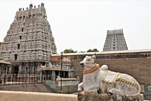 toro Nandi
