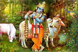 Krishna incarnazione Visnù
