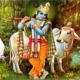 Krishna incarnazione Visnù