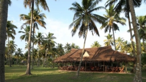 Mararikulam e la spiaggia di Marari Beach