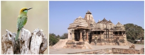 viaggio madhya pradesh cultura natura