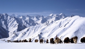 Himalaya - L'infanzia di un capo