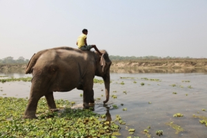 Chitwan National Park