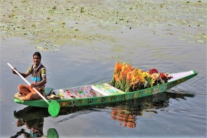 srinagar città galleggiante