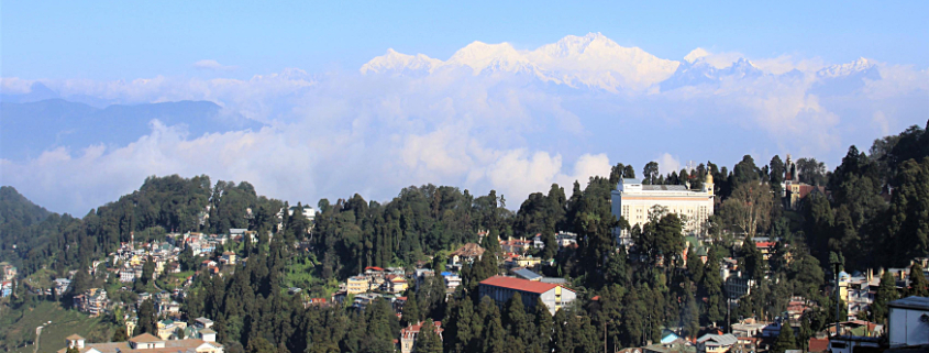 Darjeeling regina delle colline