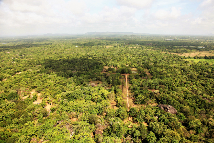 Sigiriya roccia leone