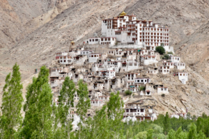 Ladakh di Laura e Pier Carlo