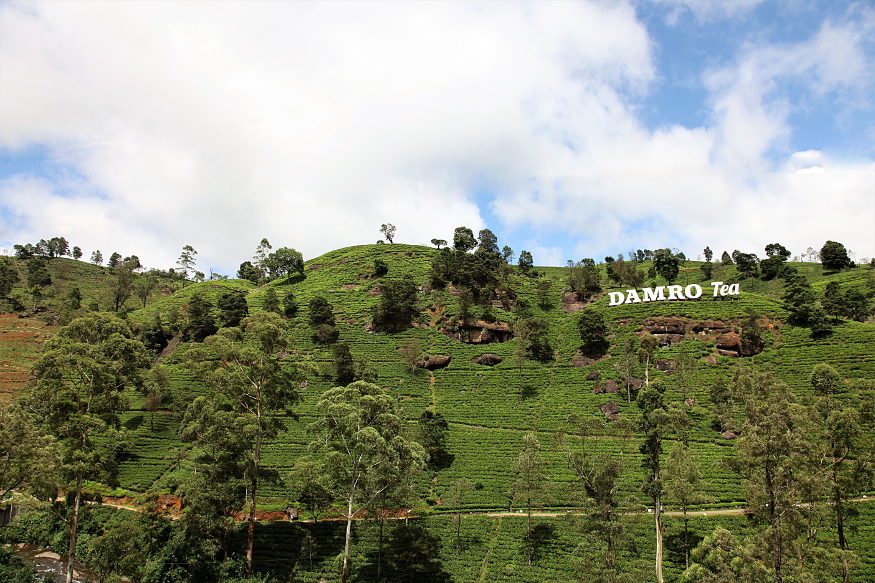 Nuwara Eliya la piccola Inghilterra