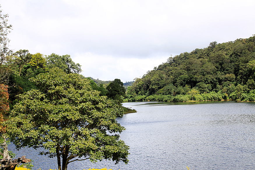 Parco Nazionale di Periyar riserva