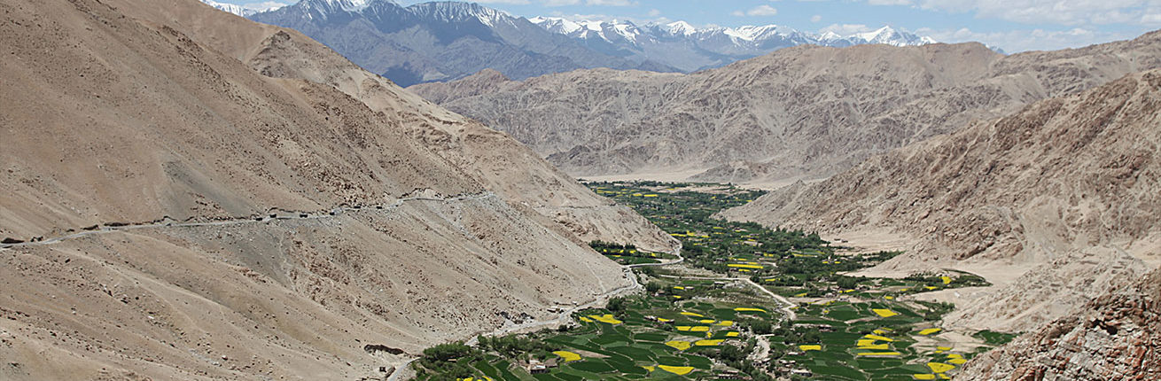 Viaggio Ladakh