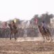 Festival del Deserto a Jaisalmer