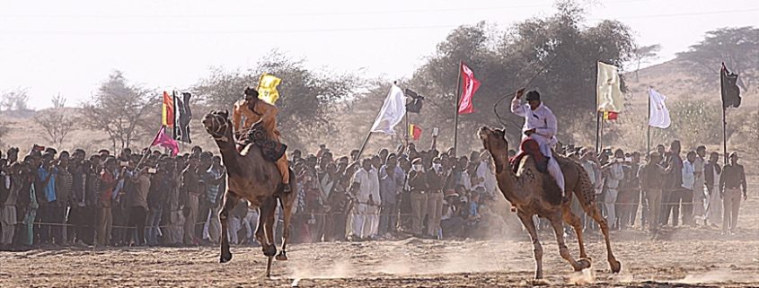 Festival del Deserto a Jaisalmer