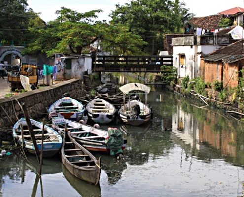 Viaggio 7 giorni in Kerala