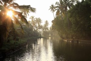 viaggio in Kerala