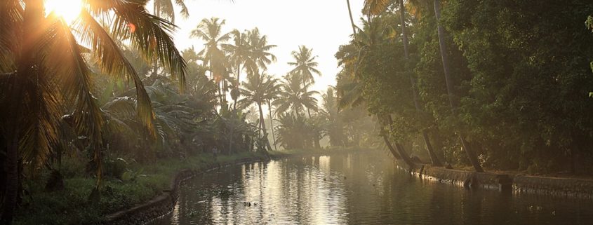 viaggio in Kerala