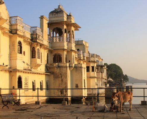 viaggio ad Udaipur la città bianca