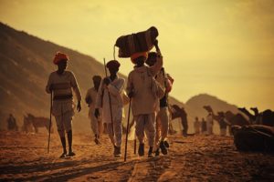 fiera dei cammelli di Pushkar