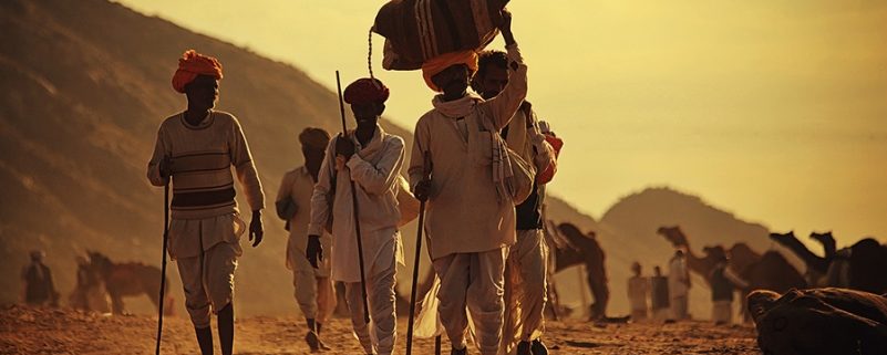 fiera dei cammelli di Pushkar