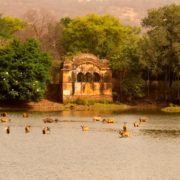 Viaggio Rajasthan e Ranthambore