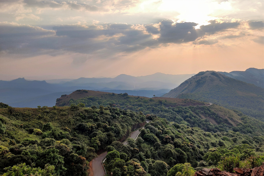 piantagione caffè Karnataka