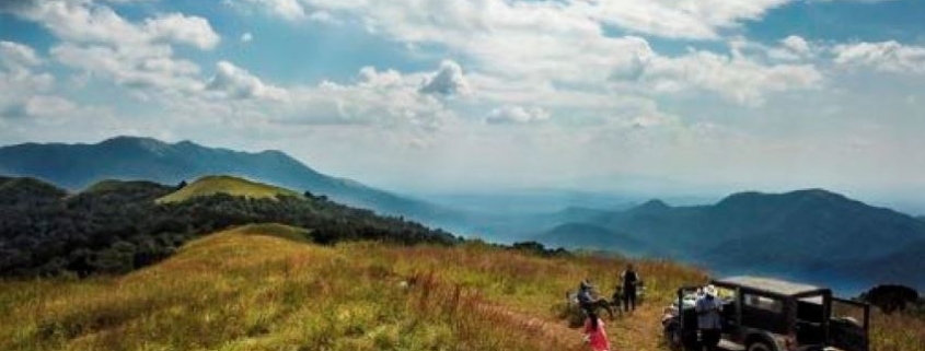 piantagione di caffè nel Karnataka