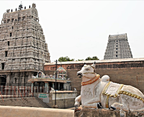 toro Nandi
