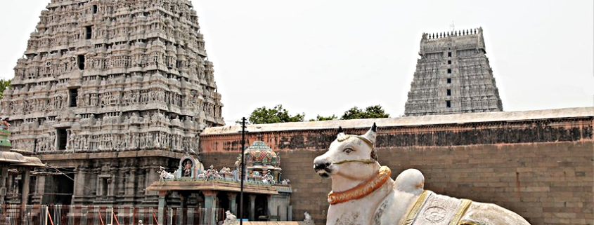 toro Nandi