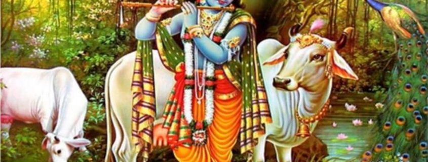 Krishna incarnazione Visnù