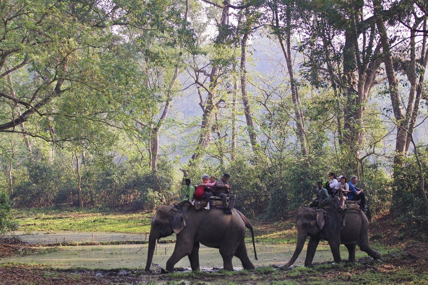 Parco Nazionale di Chitwan