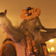 Bhavnath Mahadeva Mela