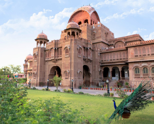 Bikaner la città dei cammelli