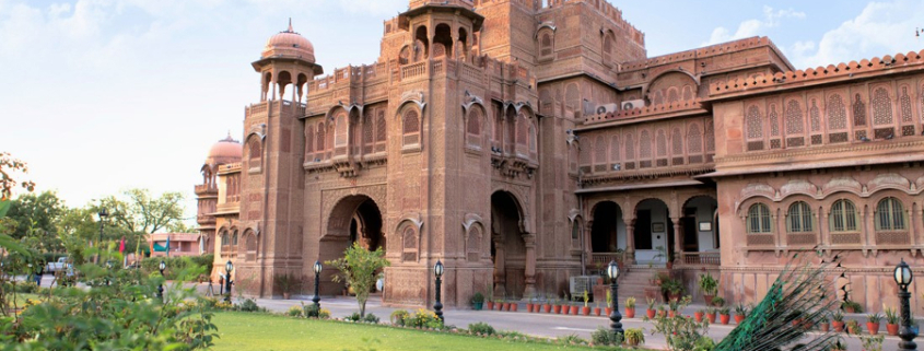 Bikaner la città dei cammelli