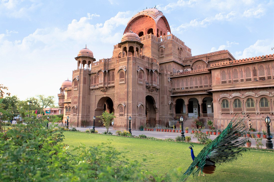 Bikaner la città dei cammelli